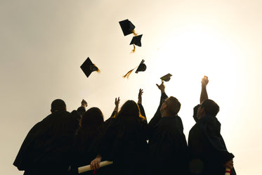 Award-winning graduates of Matrix Institute of Information Technology